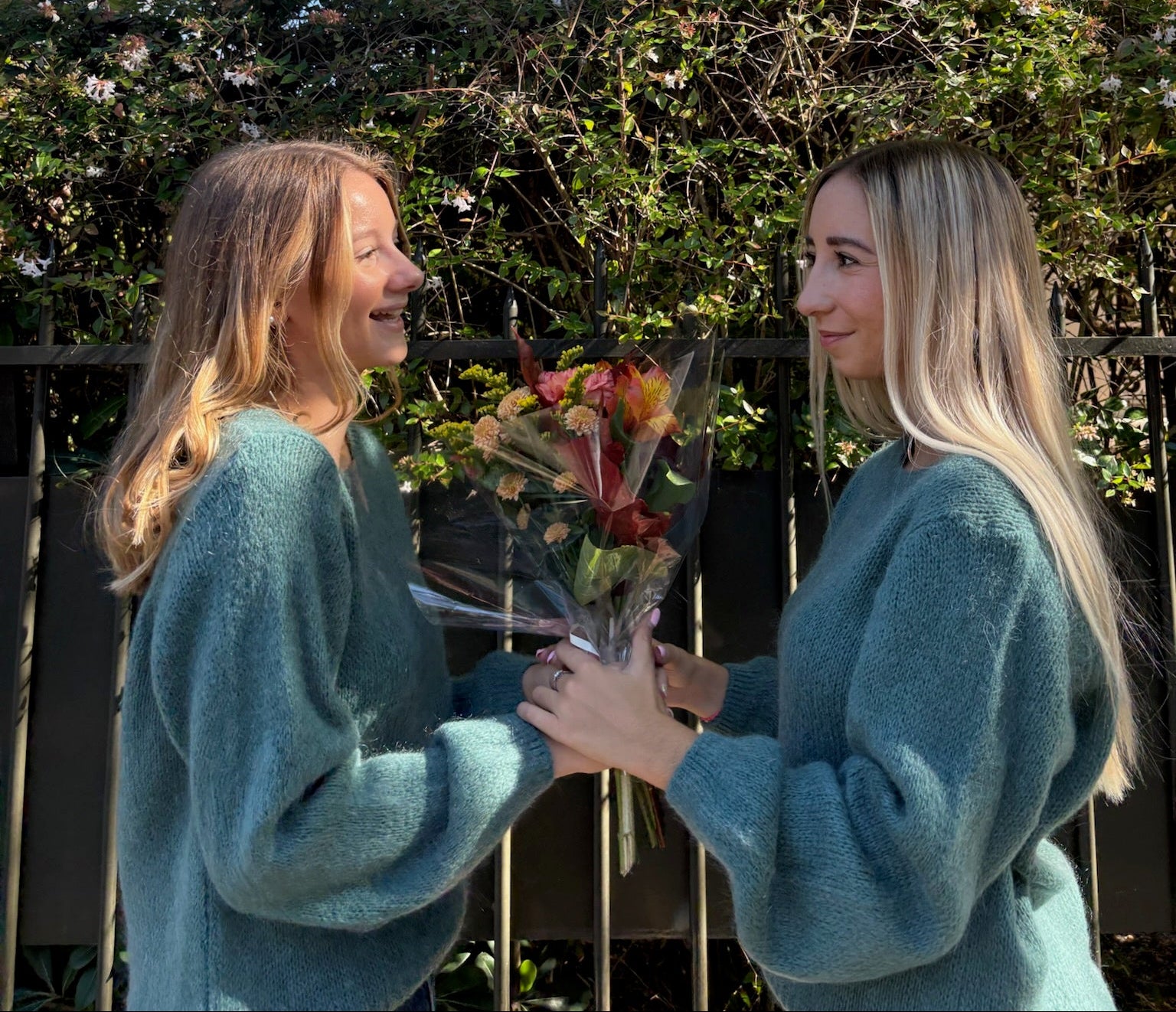 Pull Maëlys céladon